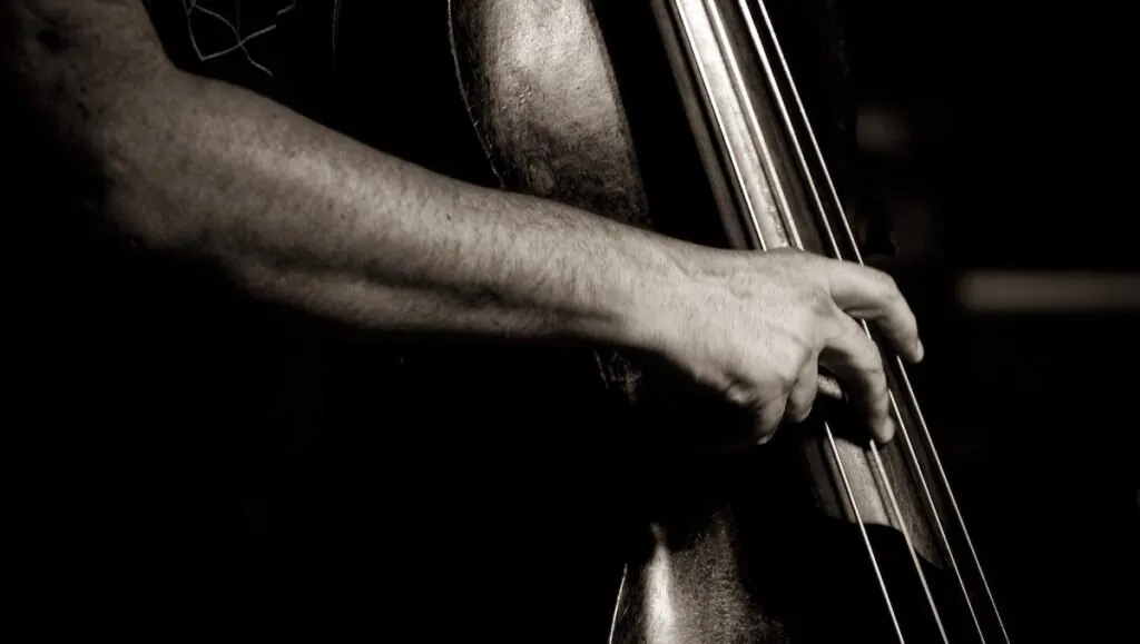 365 Days Jazz Bar - Photo 5