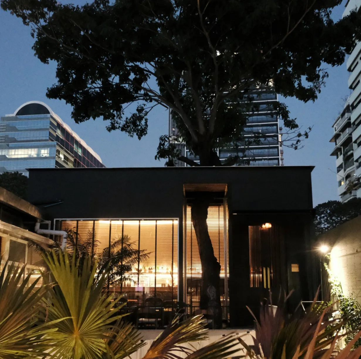 Dry Wave Cocktail Studio - Photo 3