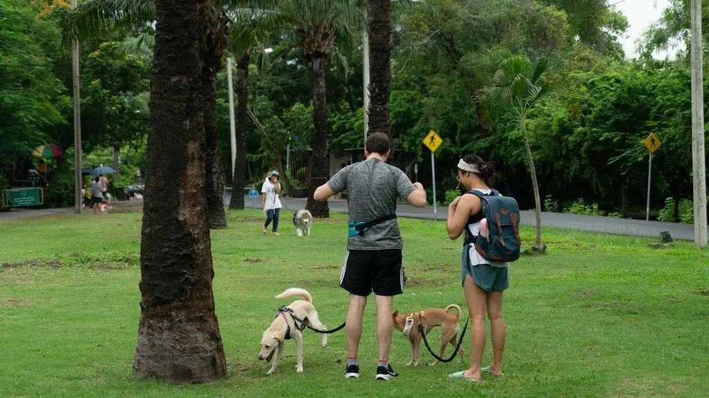 Neighbor Thonglor - Photo 4