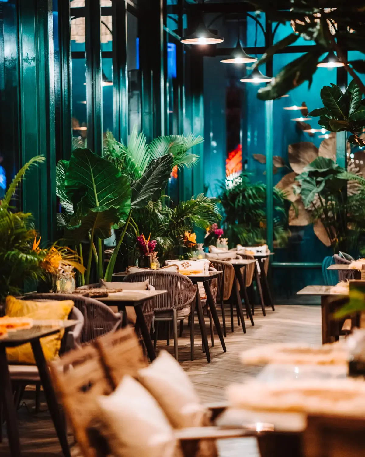 Tribe Sky Beach Club - Photo 17