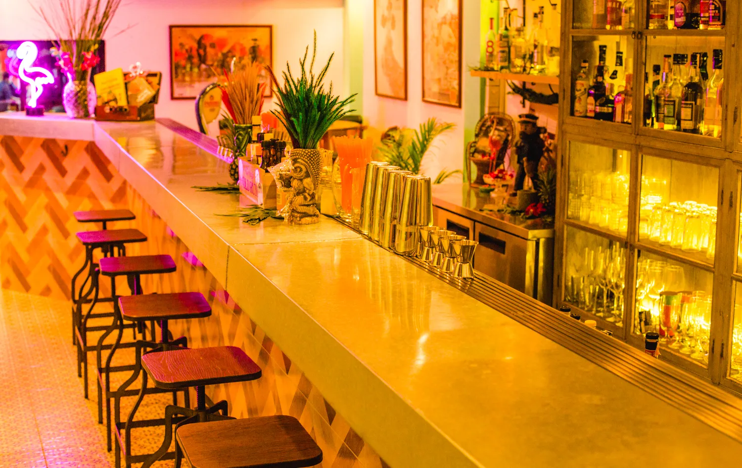 Tropic City - Photo 1